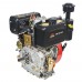 Vitals DM 12.0kne (188FE) двигун дизельний (12 к.с., шпонка, 25.4 мм, циліндр зйомний, електростартер)