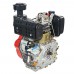 Vitals DM 14.0sne (192FE) двигун дизельний (14 к.с., шліци, 25 мм, циліндр зйомний, електростартер)