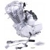 Двигун (165FMJ) - CB250 (з повітряним охолодженням, для мотоциклів)