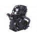 L170ММ - CG300 двигун для мотоциклів (з водяним охолодженням)