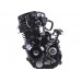 L170ММ - CG300 двигатель для мотоциклов (с водяным охлаждением)