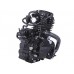Двигатель (BL170ММ) - CG300 (с водяным охлаждением, для мотоциклов)