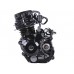 Двигун (BL170ММ) - CG300 (з водяним охолодженням, для мотоциклів)