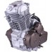 Двигатель ТАТА СВ 200СС (169F) (MINSK/VIPER 200J, для мотоциклов)