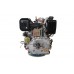 Grunwelt GW192FE F2 двигун дизельний (14 к.с., шпонка, 25 мм, електростартер)